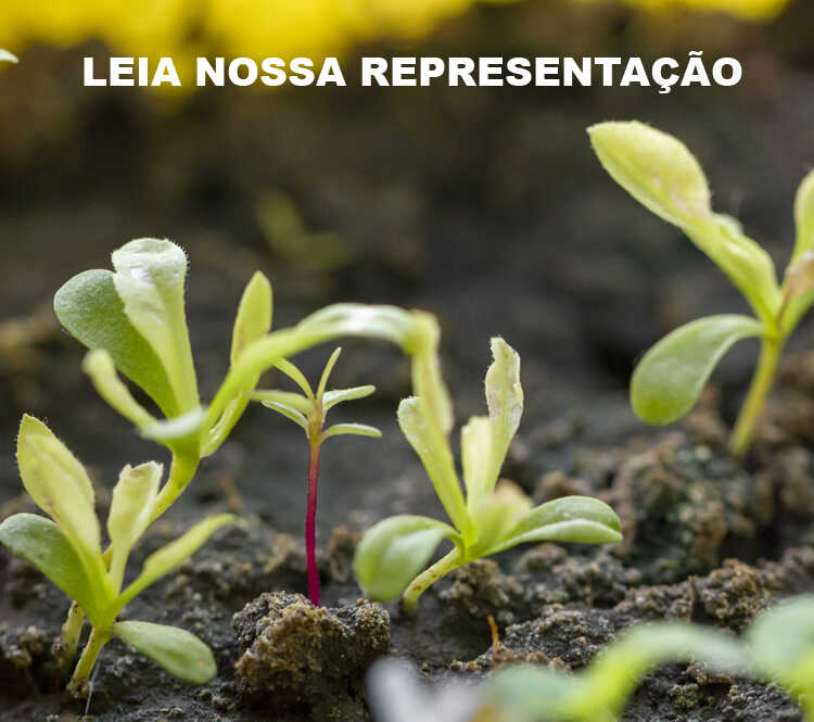 box-cartasima_optimized